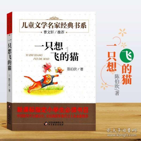启动！第五届花都美食节等你来逛！